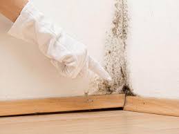  Brookneal, VA Mold Remediation Pros